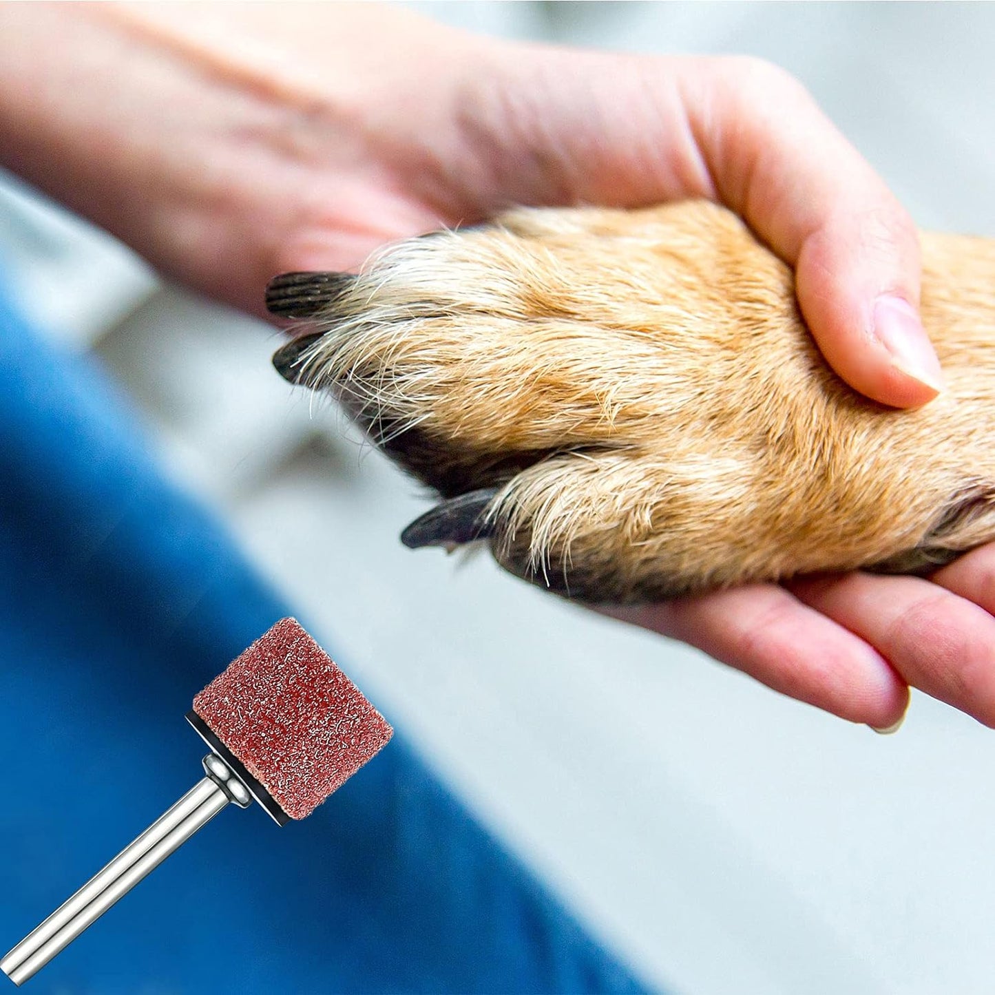 22-Piece Dog Nail Grinder Band Replacement Kit, 1/2 Inch 60 Grit and 100 Grit, Compatible with Pet Nail Trimmers and Grinders for Smooth Claw Grooming