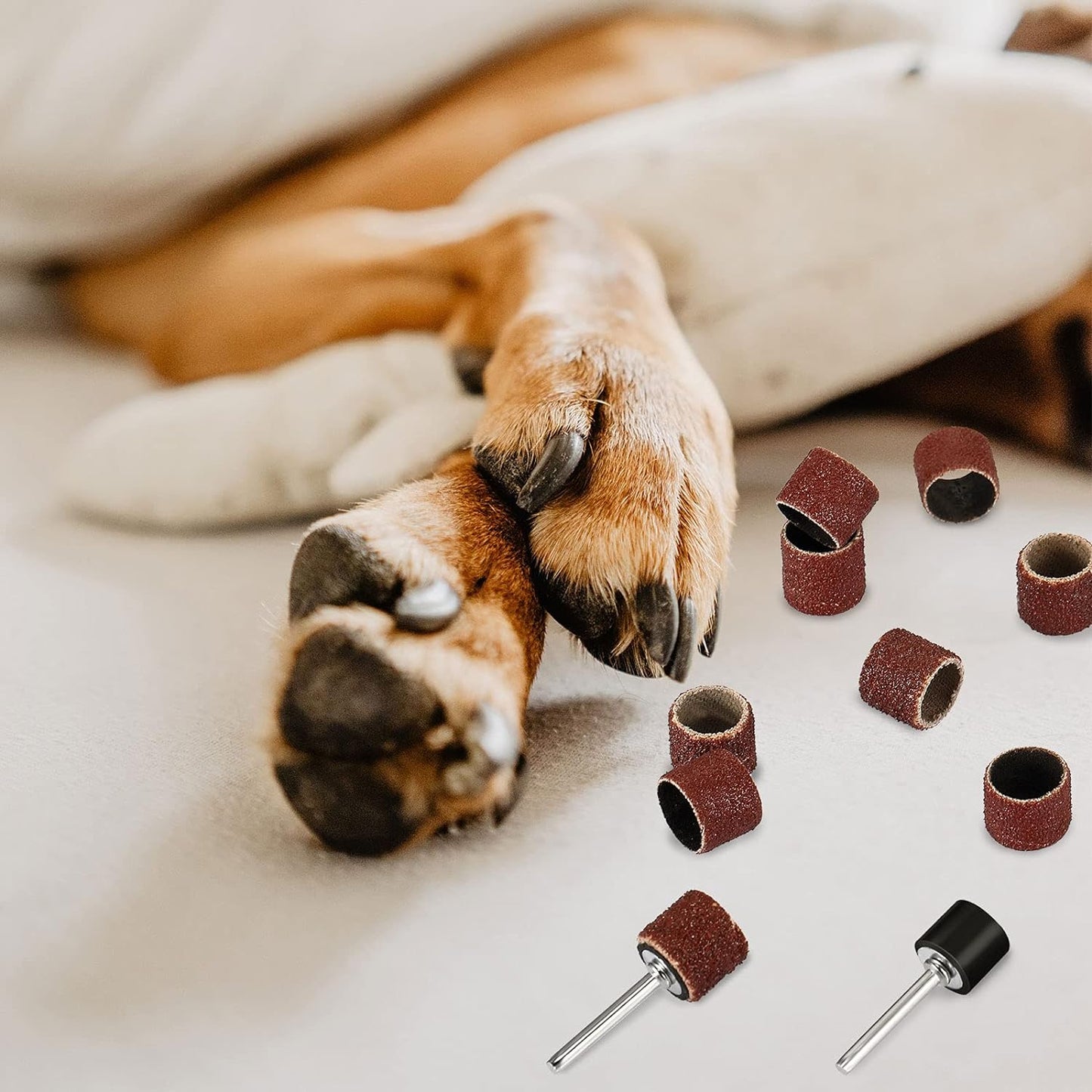 22-Piece Dog Nail Grinder Band Replacement Kit, 1/2 Inch 60 Grit and 100 Grit, Compatible with Pet Nail Trimmers and Grinders for Smooth Claw Grooming